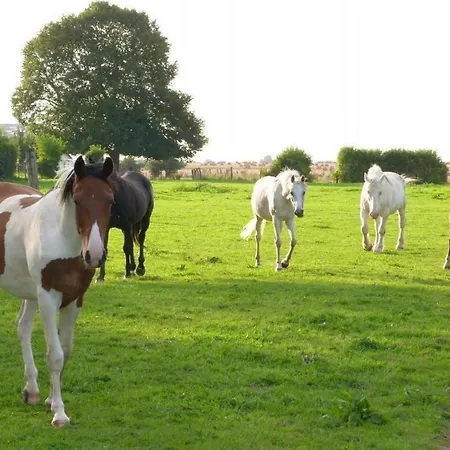 Gîte et Relais Equestre de Marie Tours-en-Vimeu Chambre photo