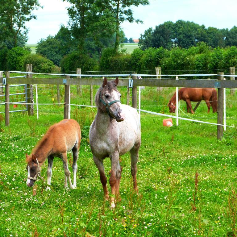 Et Relais Equestre De Marie * Tours-en-Vimeu