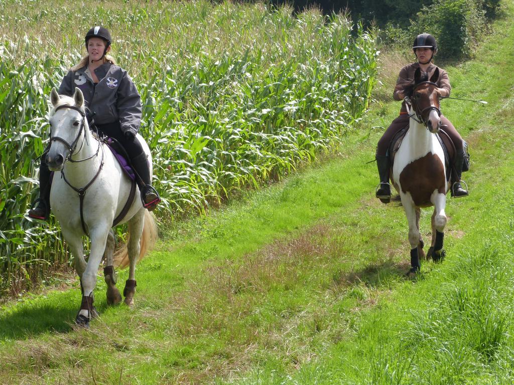 Et Relais Equestre De Marie