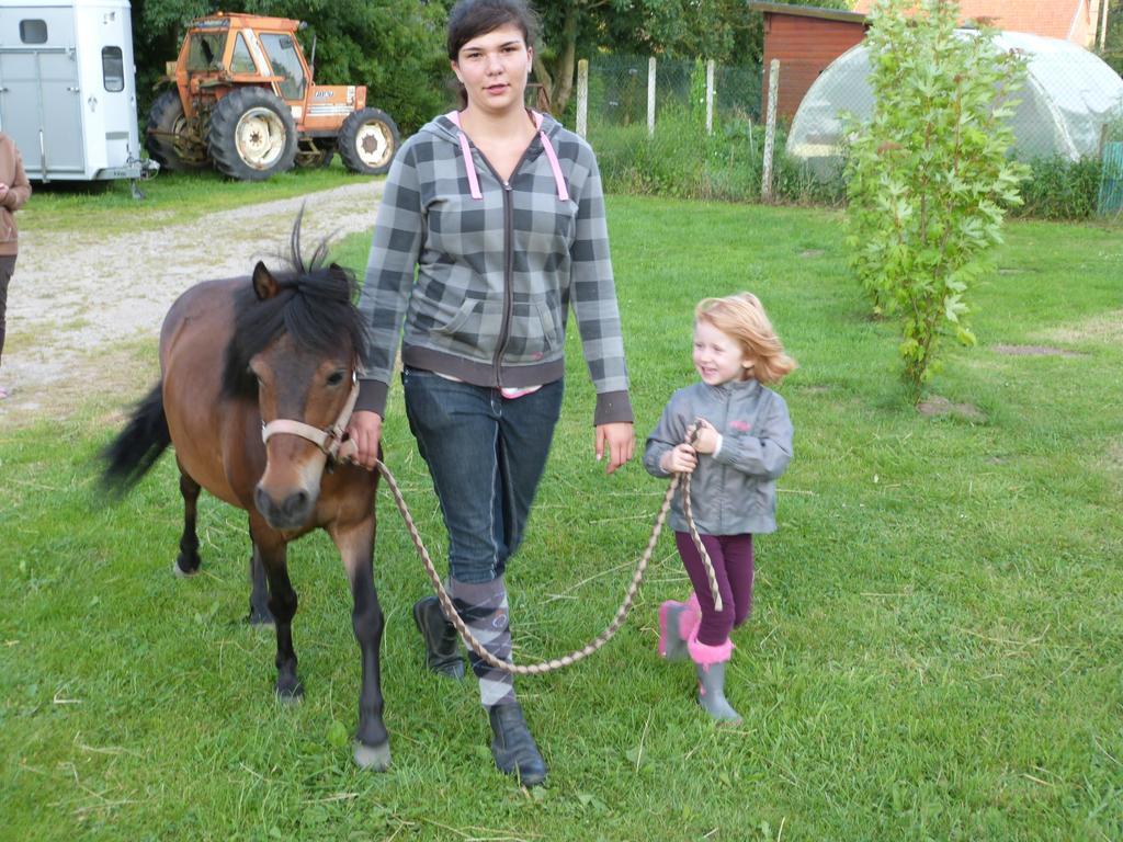 Et Relais Equestre De Marie Hébergement de vacances *