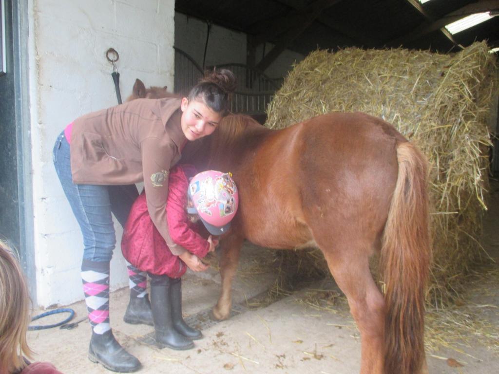 Et Relais Equestre De Marie