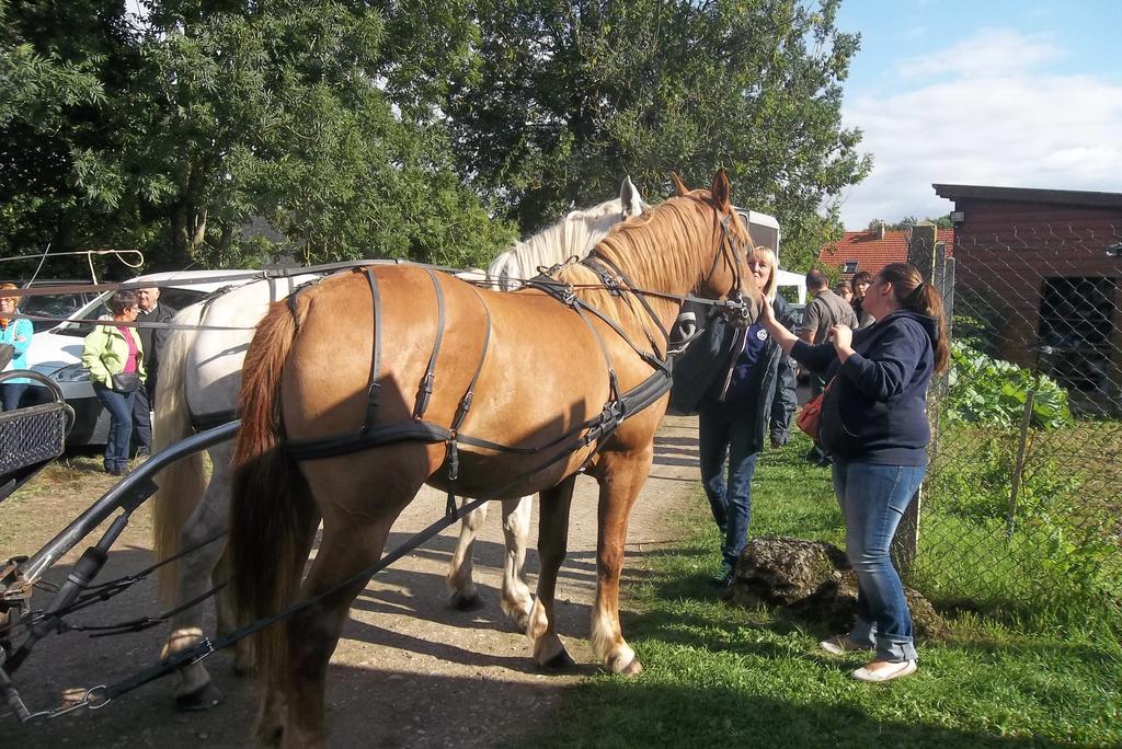 Et Relais Equestre De Marie Tours-en-Vimeu