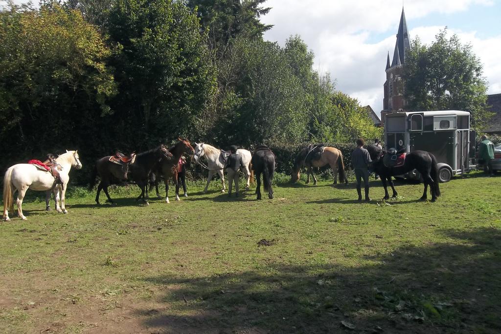 Hébergement de vacances Et Relais Equestre De Marie *