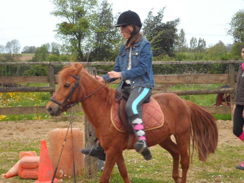 Et Relais Equestre De Marie Casa de Férias Tours-en-Vimeu