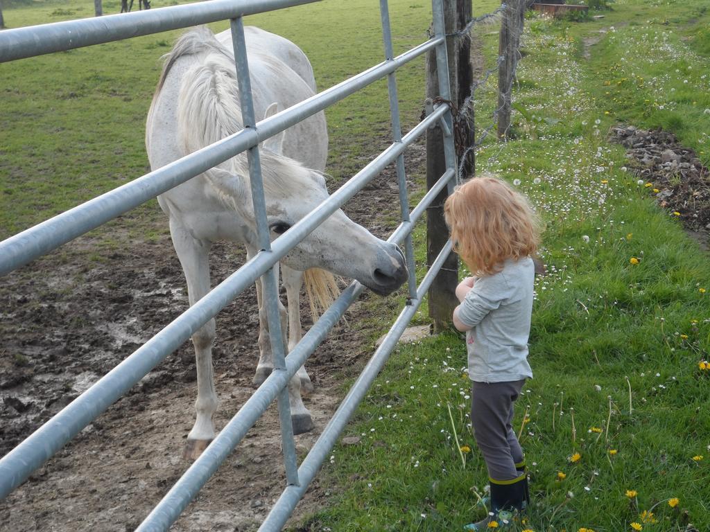 Et Relais Equestre De Marie *