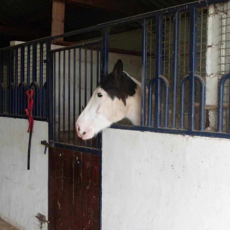 Et Relais Equestre De Marie Tours-en-Vimeu