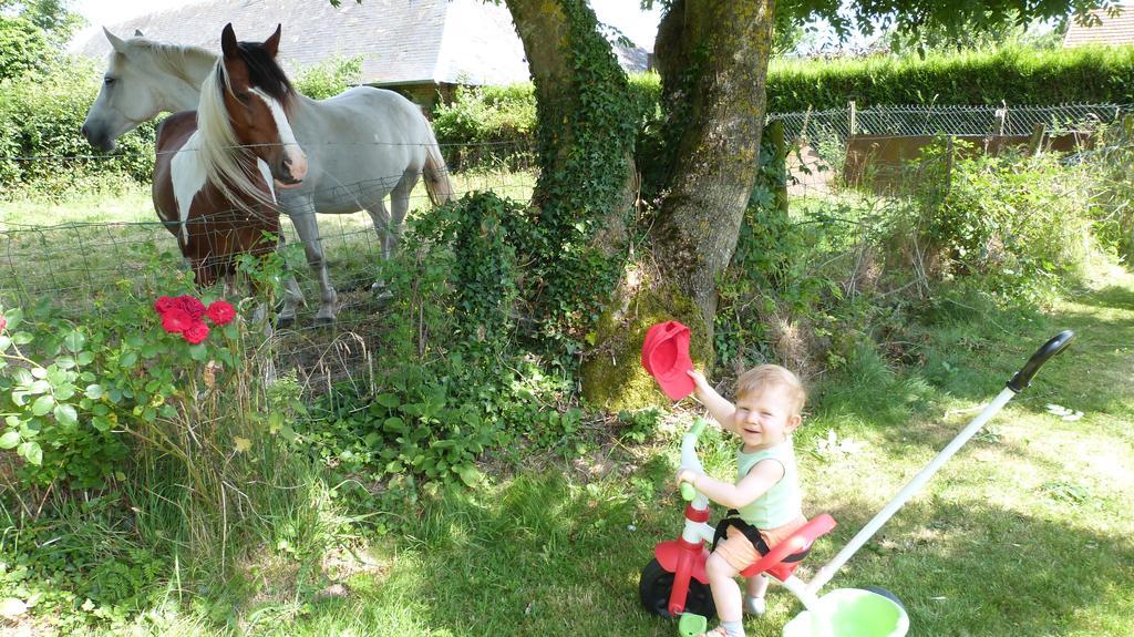 Et Relais Equestre De Marie Tours-en-Vimeu