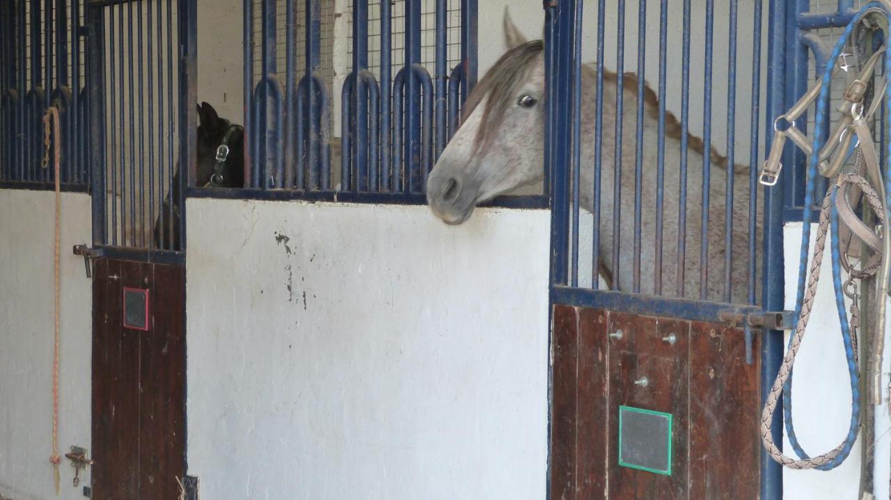 Et Relais Equestre De Marie