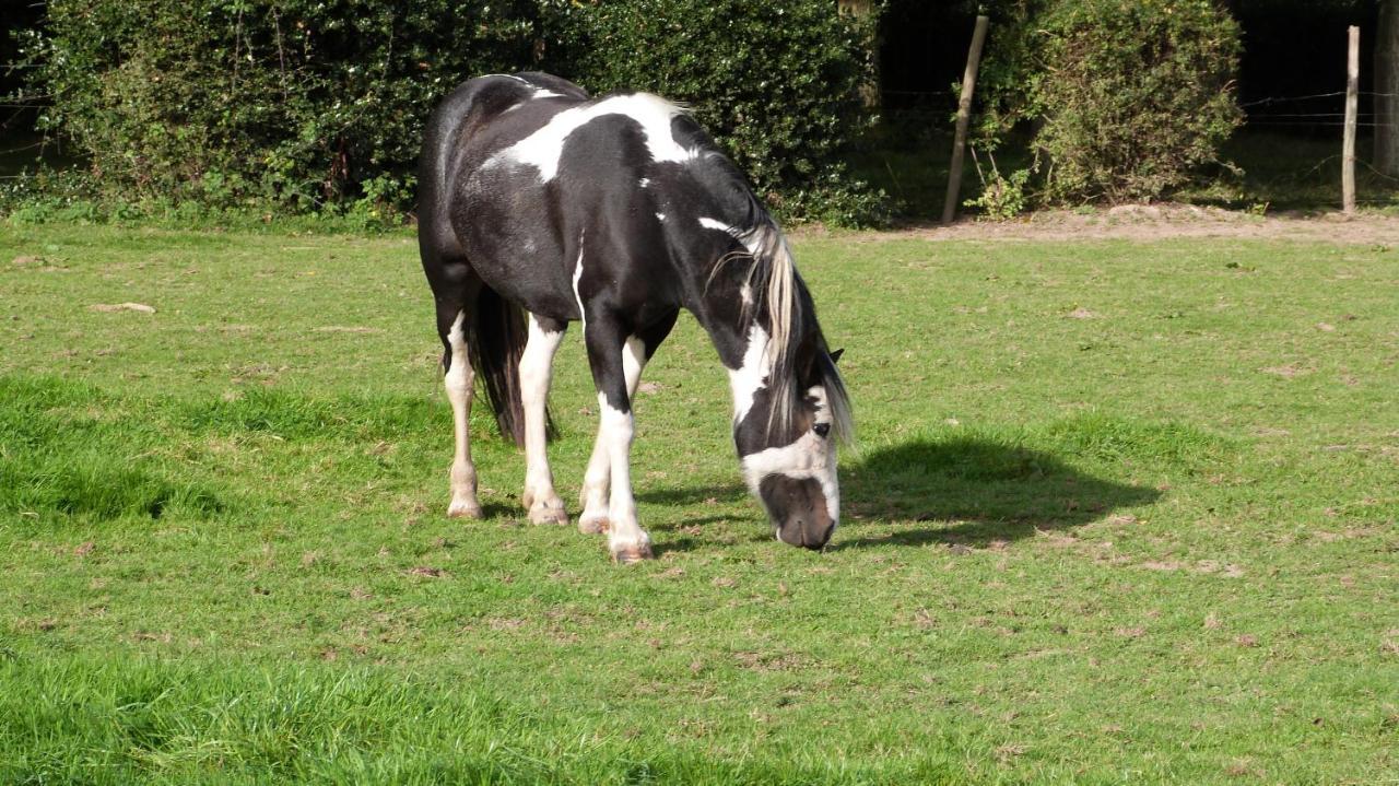 Et Relais Equestre De Marie